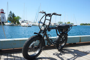 "Retro Cruiser" Electric Fat Bike